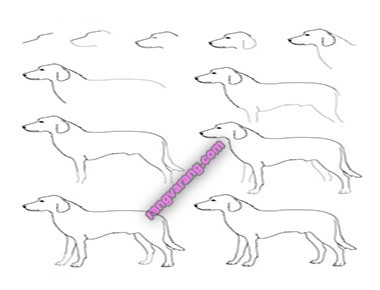 مدل نقاشی سگ برای کودکان
