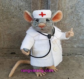 مدل موش نمدی پرستار